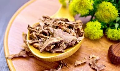 Rhodiola Rosea: Évezredes gyökereink – Egy legendás adaptogén útja a Római Birodalomtól napjainkig 4. rész