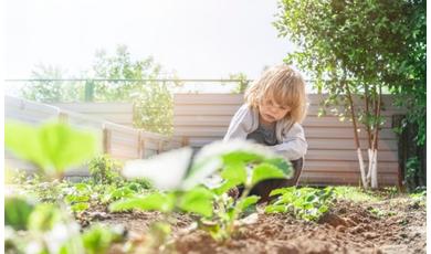 Kezdd el időben! Tudatos táplálkozás csecsemőkortól tinédzserkorig